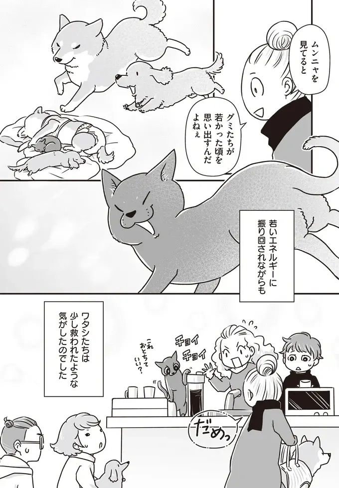 『何度でも言うね、大好きだよ 愛犬グミと銀次郎と過ごした日々』（53）
