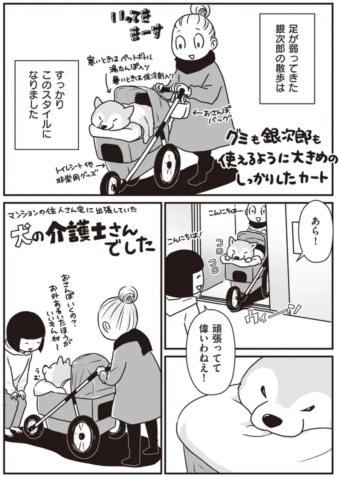 『何度でも言うね、大好きだよ 愛犬グミと銀次郎と過ごした日々』（54）
