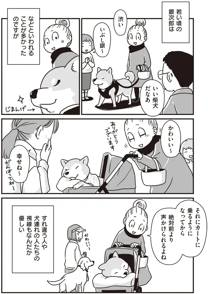 『何度でも言うね、大好きだよ 愛犬グミと銀次郎と過ごした日々』（55）