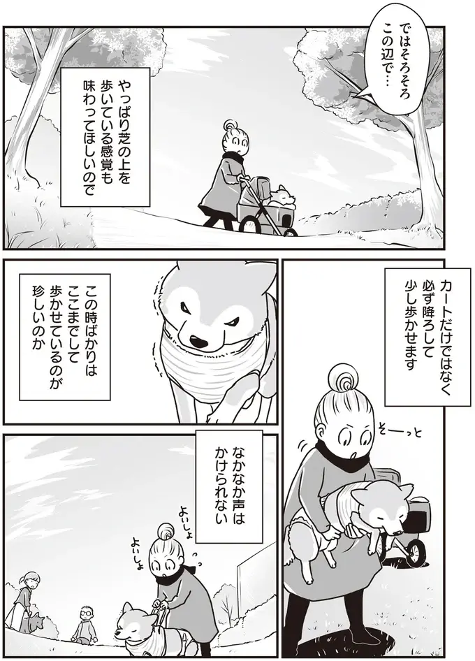 『何度でも言うね、大好きだよ 愛犬グミと銀次郎と過ごした日々』（56）