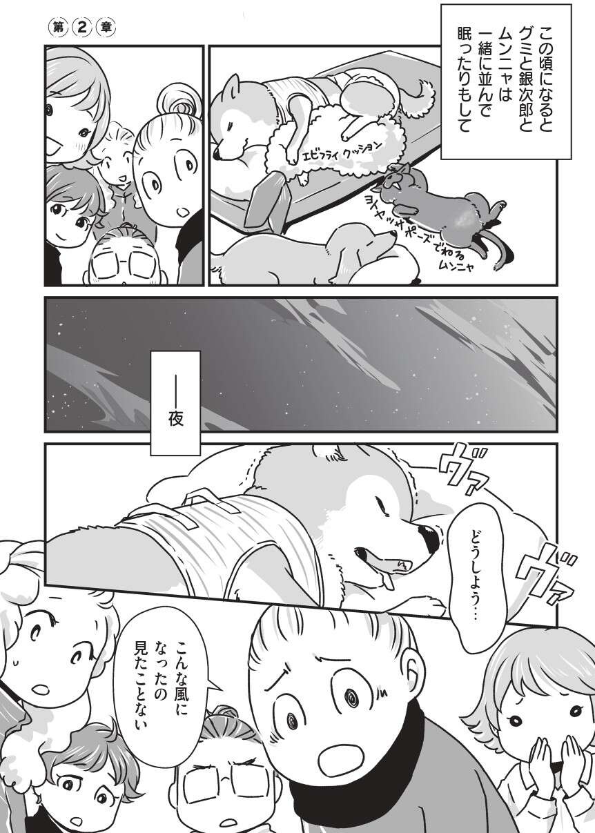 『何度でも言うね、大好きだよ 愛犬グミと銀次郎と過ごした日々』（59）