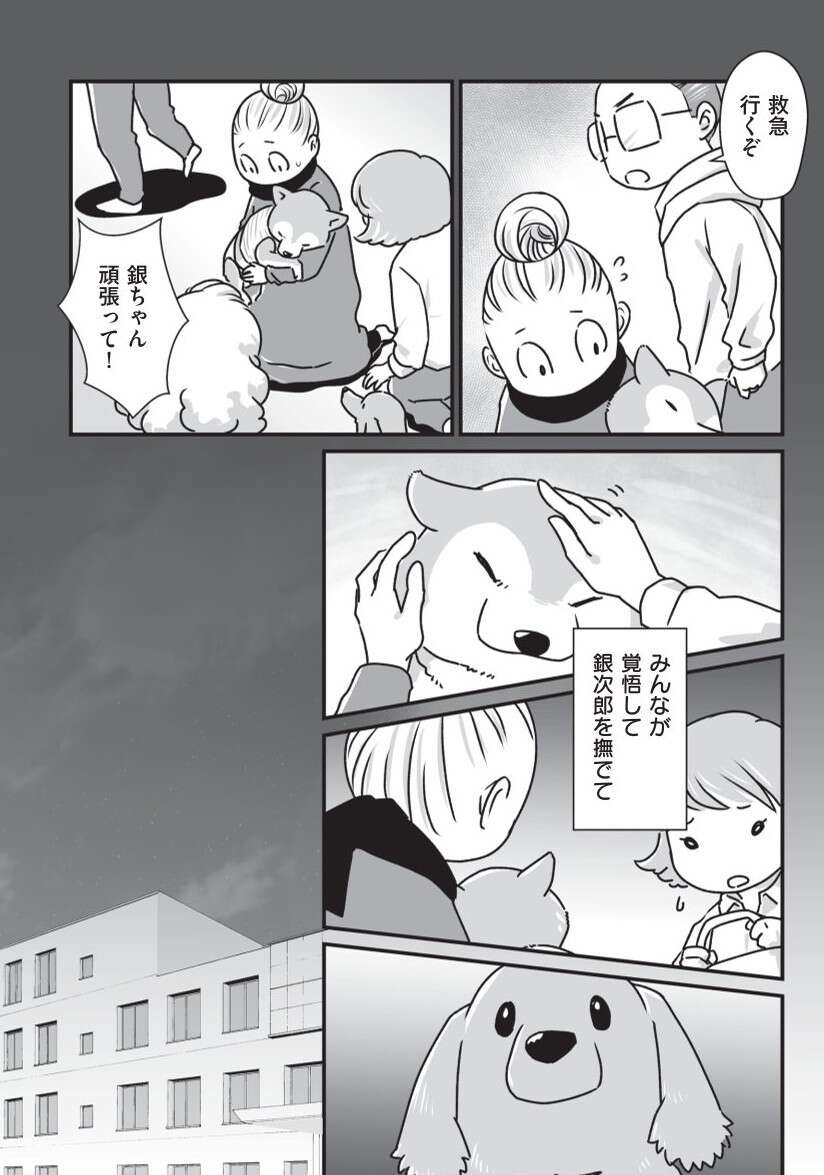 『何度でも言うね、大好きだよ 愛犬グミと銀次郎と過ごした日々』（60）