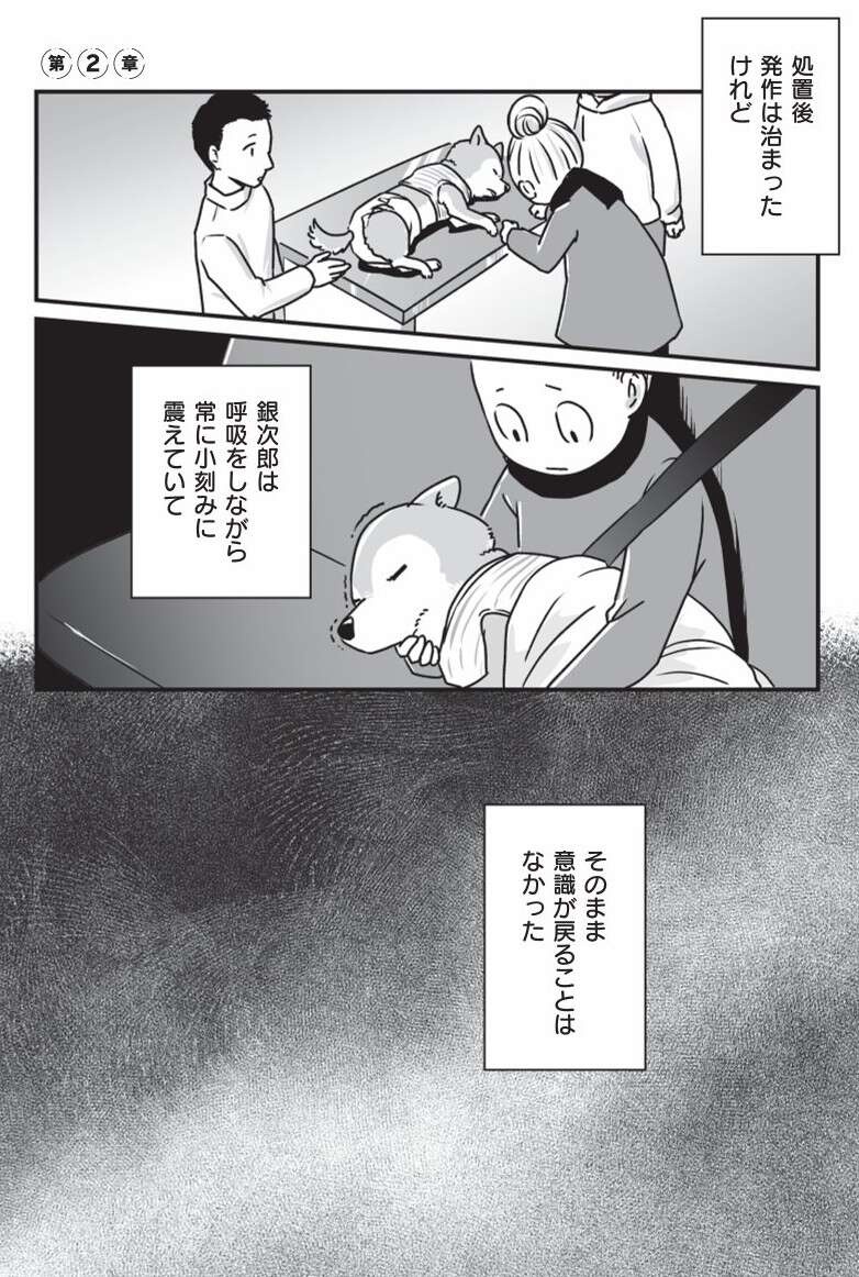 『何度でも言うね、大好きだよ 愛犬グミと銀次郎と過ごした日々』（61）