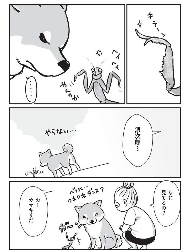 『何度でも言うね、大好きだよ 愛犬グミと銀次郎と過ごした日々』（68）