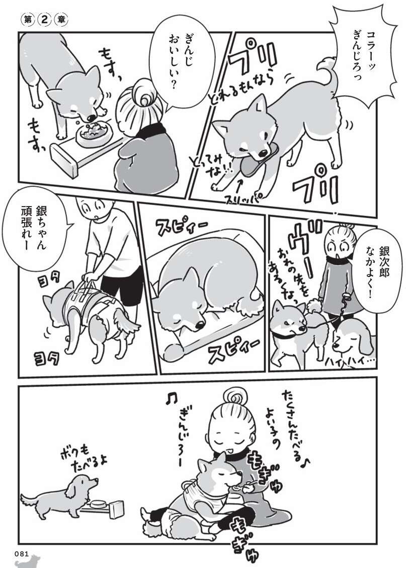 『何度でも言うね、大好きだよ 愛犬グミと銀次郎と過ごした日々』（69）