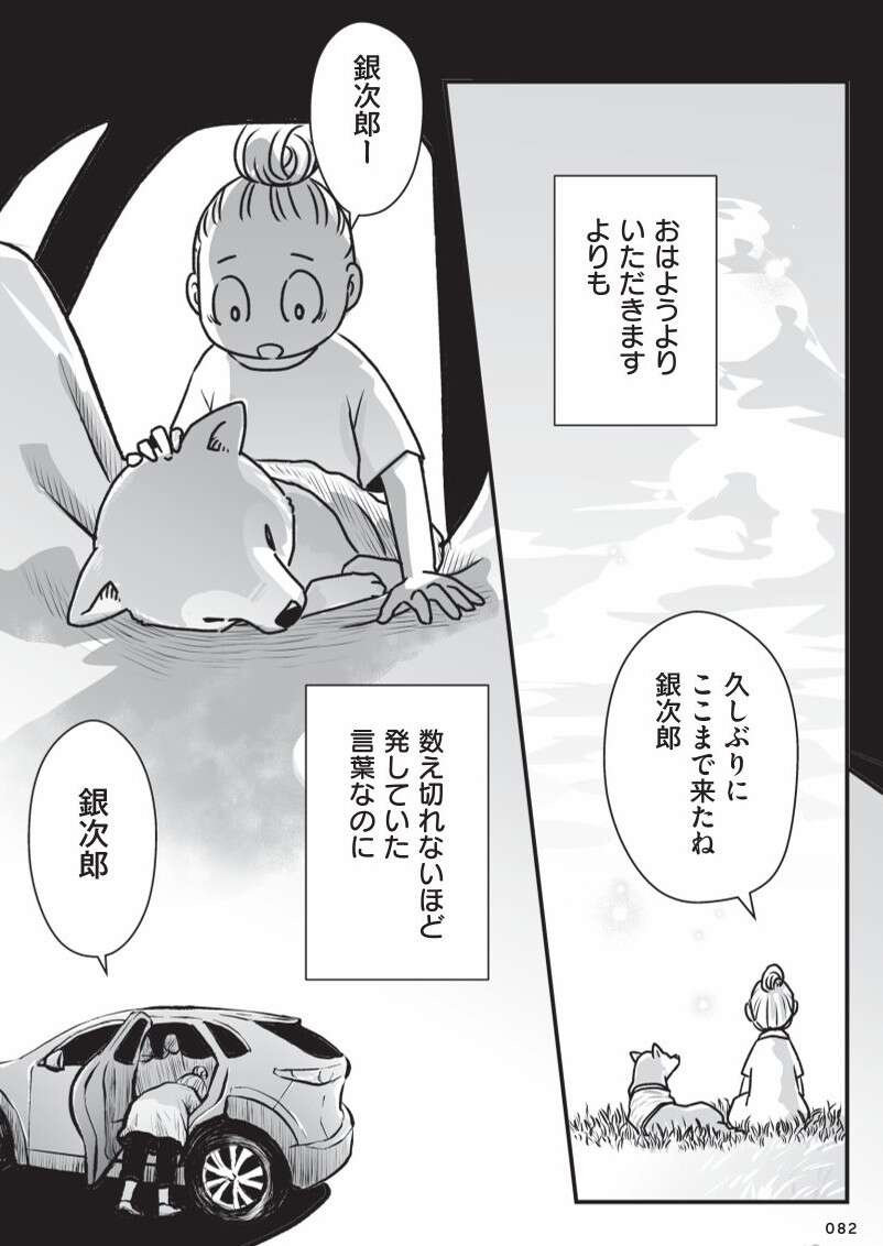 『何度でも言うね、大好きだよ 愛犬グミと銀次郎と過ごした日々』（70）