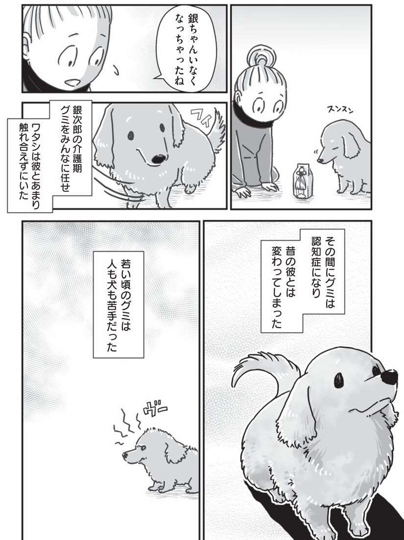 『何度でも言うね、大好きだよ 愛犬グミと銀次郎と過ごした日々』（77）