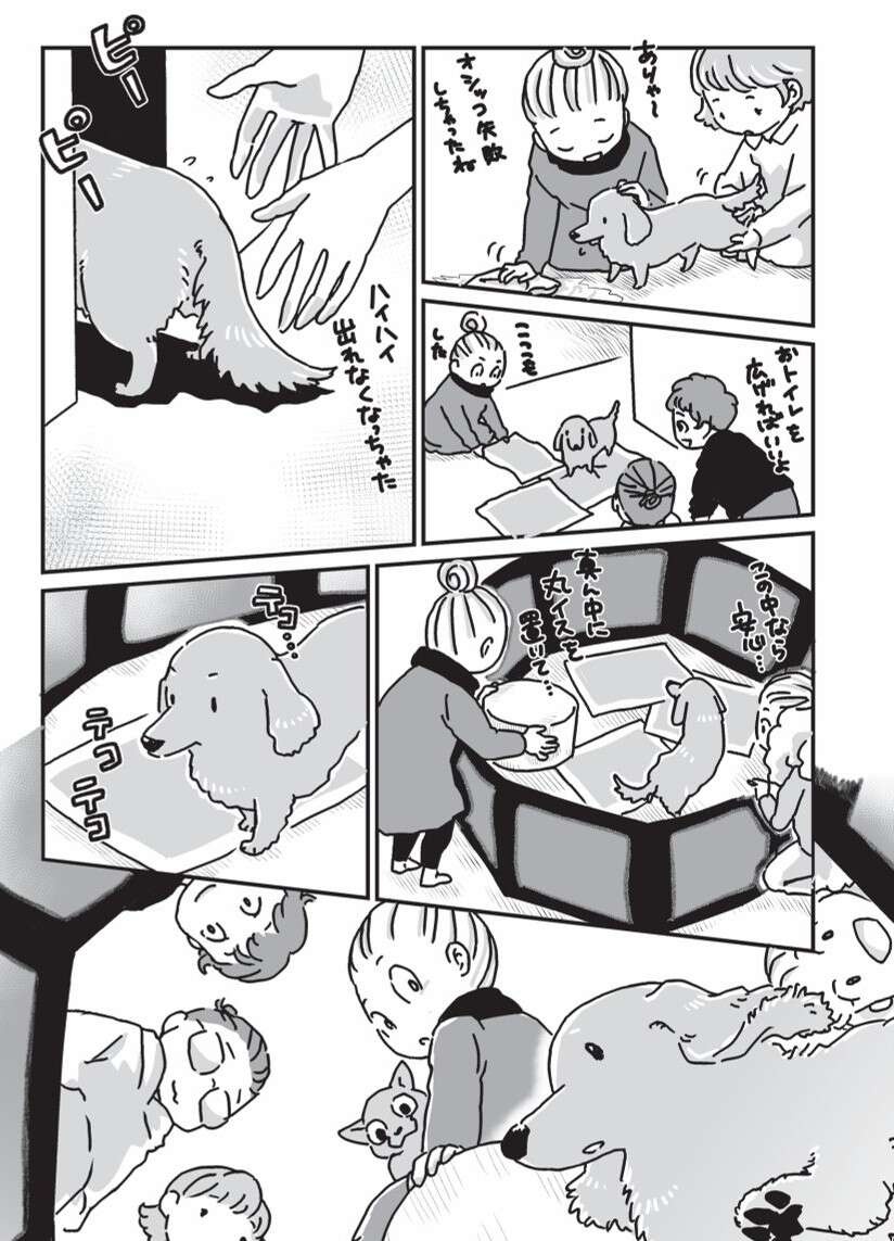 『何度でも言うね、大好きだよ 愛犬グミと銀次郎と過ごした日々』（79）