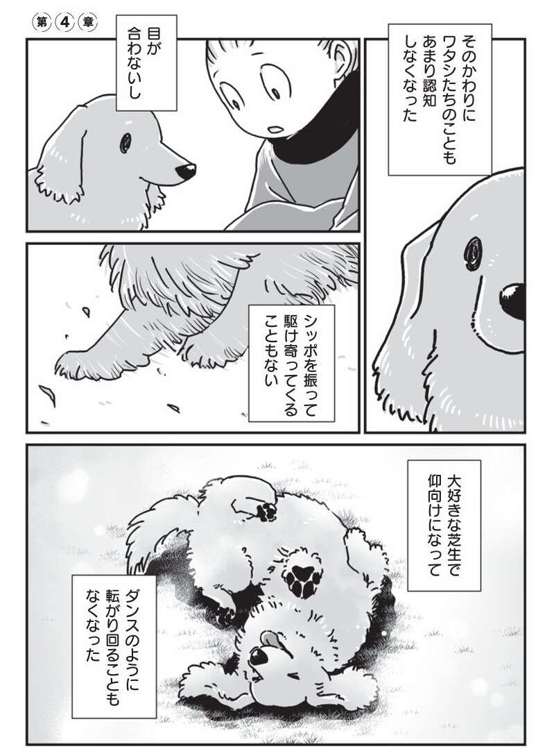 『何度でも言うね、大好きだよ 愛犬グミと銀次郎と過ごした日々』（81）