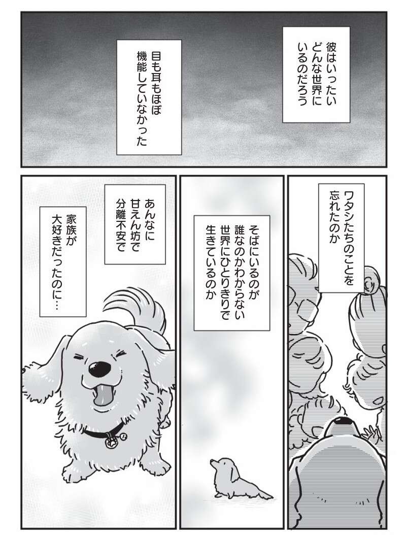 『何度でも言うね、大好きだよ 愛犬グミと銀次郎と過ごした日々』（82）