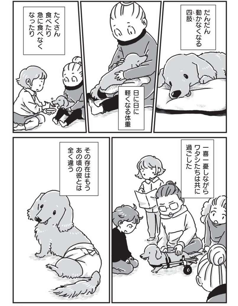 『何度でも言うね、大好きだよ 愛犬グミと銀次郎と過ごした日々』（83）