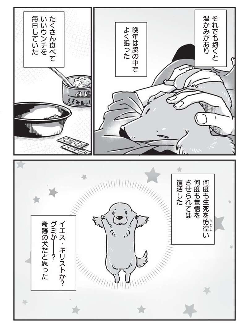 『何度でも言うね、大好きだよ 愛犬グミと銀次郎と過ごした日々』（84）