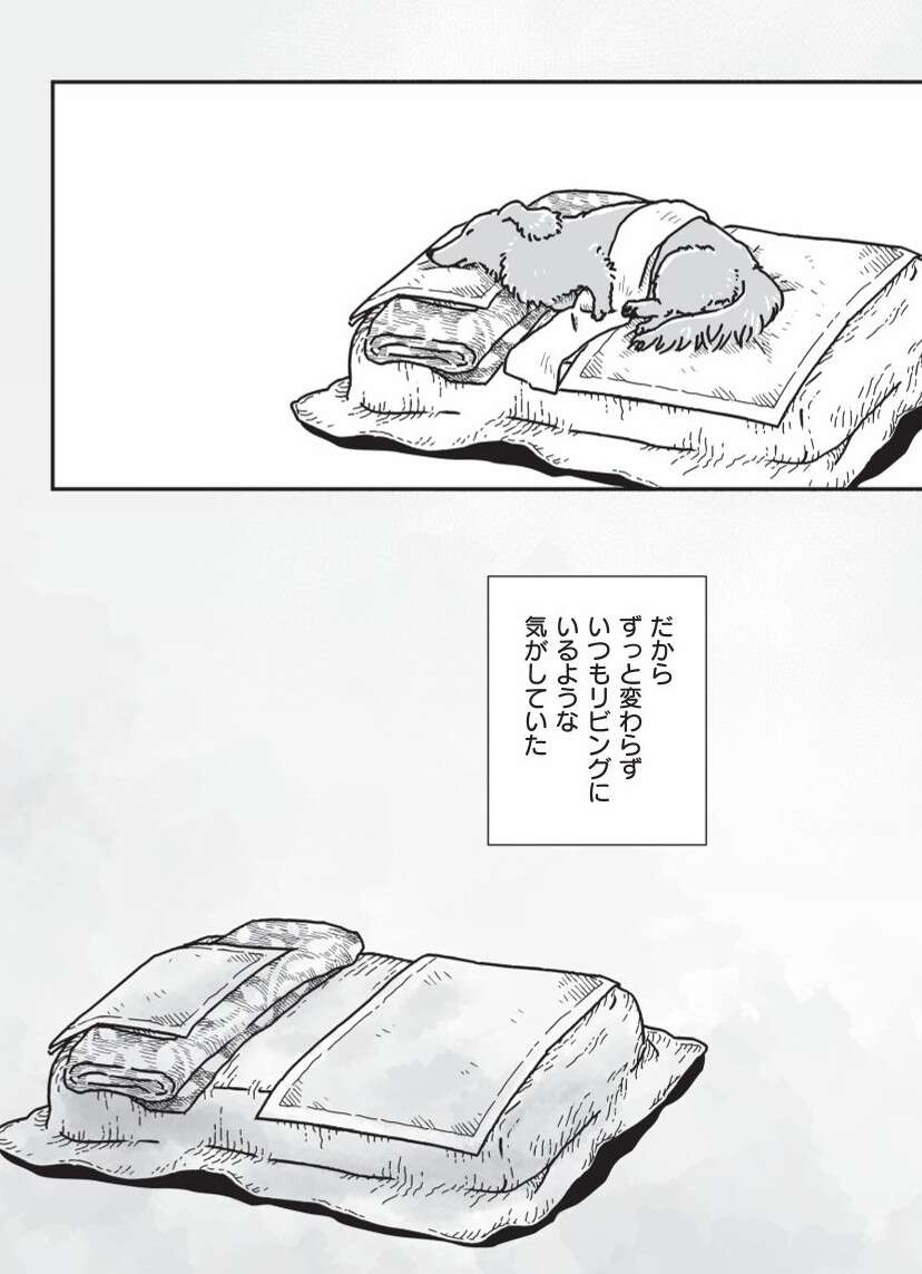 『何度でも言うね、大好きだよ 愛犬グミと銀次郎と過ごした日々』（85）