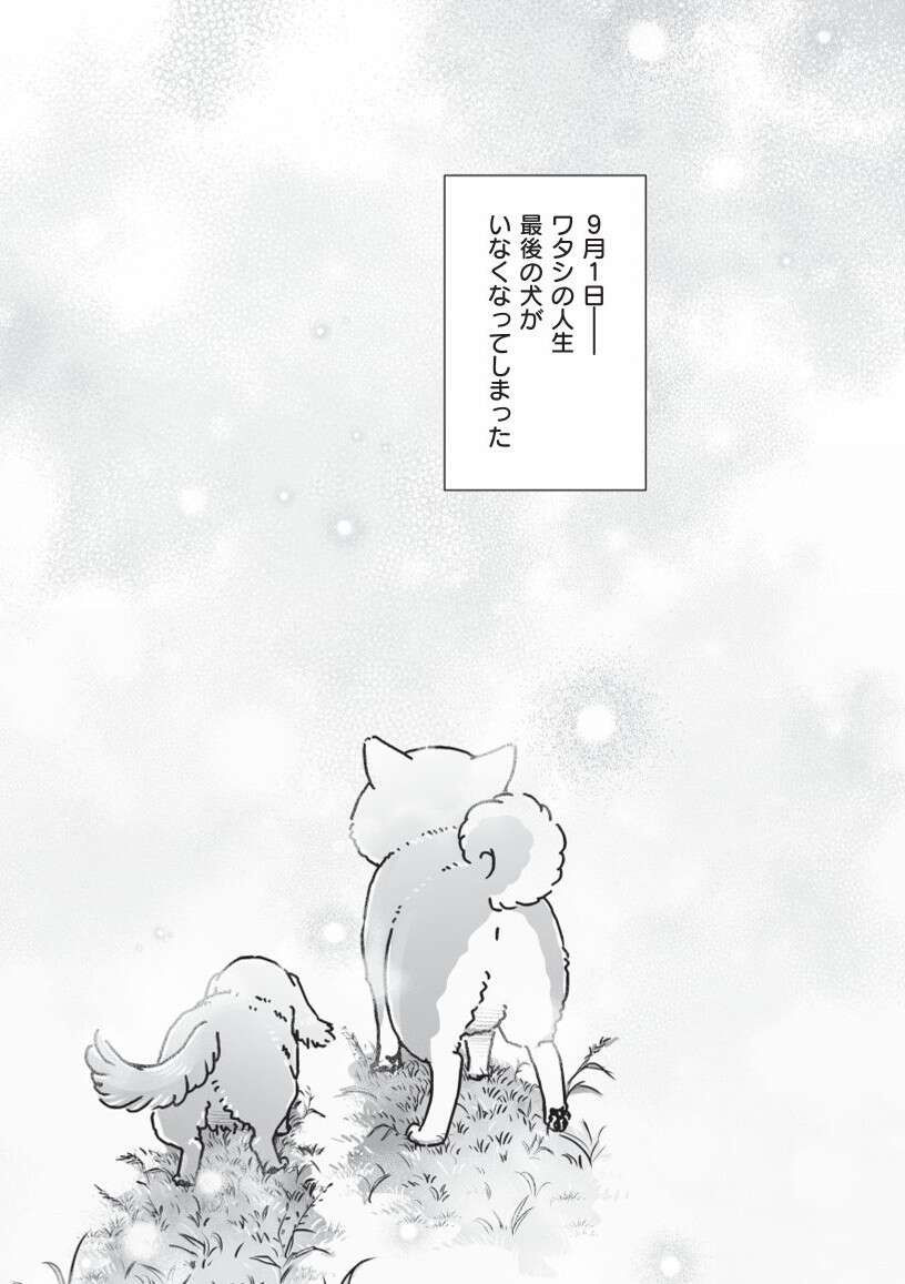 『何度でも言うね、大好きだよ 愛犬グミと銀次郎と過ごした日々』（88）
