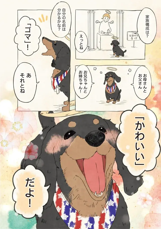 いっぱい愛されたんだね...ワンコたちが教えてくれた「飼い主さんの呼び方」／自分の名前を勘違いしている子（2）