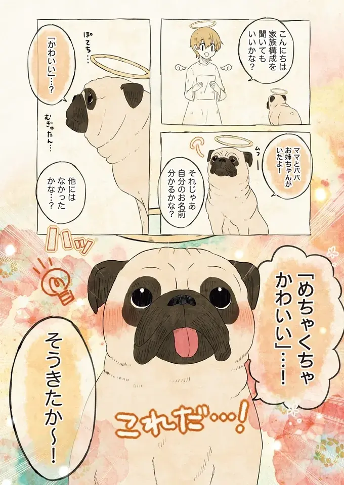 いっぱい愛されたんだね...ワンコたちが教えてくれた「飼い主さんの呼び方」／自分の名前を勘違いしている子（4）