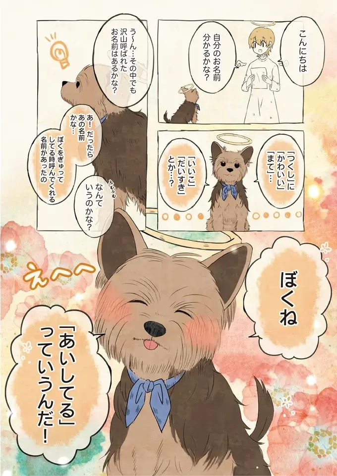 いっぱい愛されたんだね...ワンコたちが教えてくれた「飼い主さんの呼び方」／自分の名前を勘違いしている子（5）