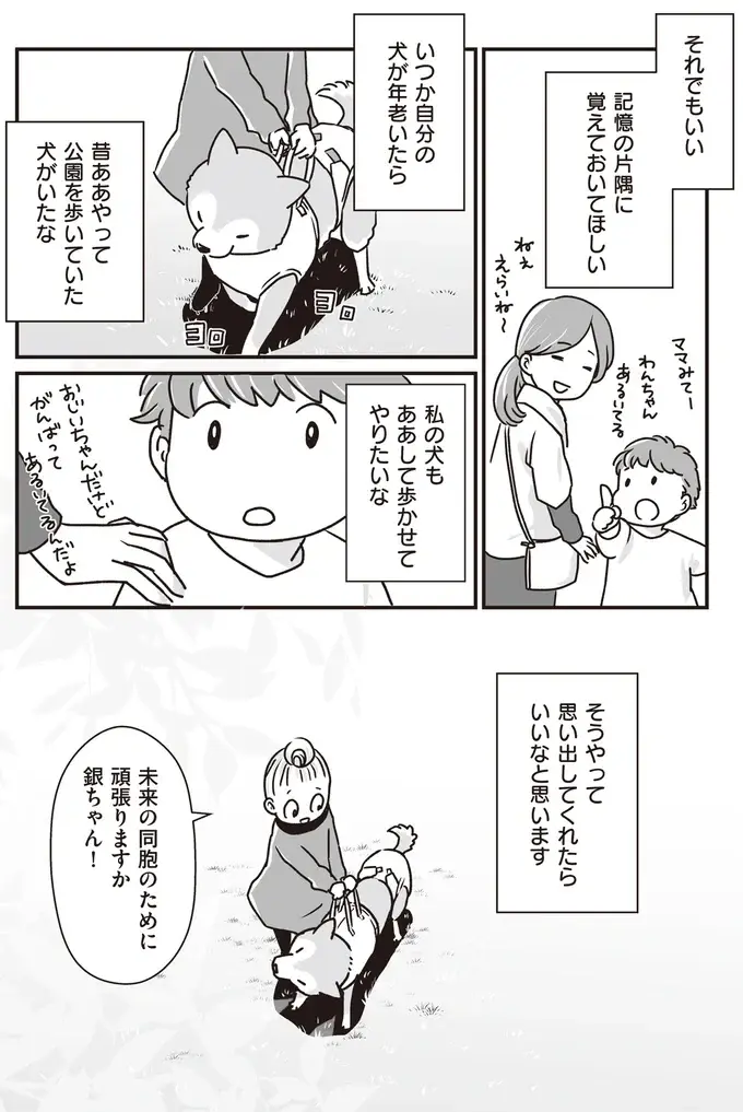 愛犬へかけられる声が「渋い」から「かわいい～」に。カートに乗るようになったシニア犬／愛犬グミと銀次郎と過ごした日々（5）