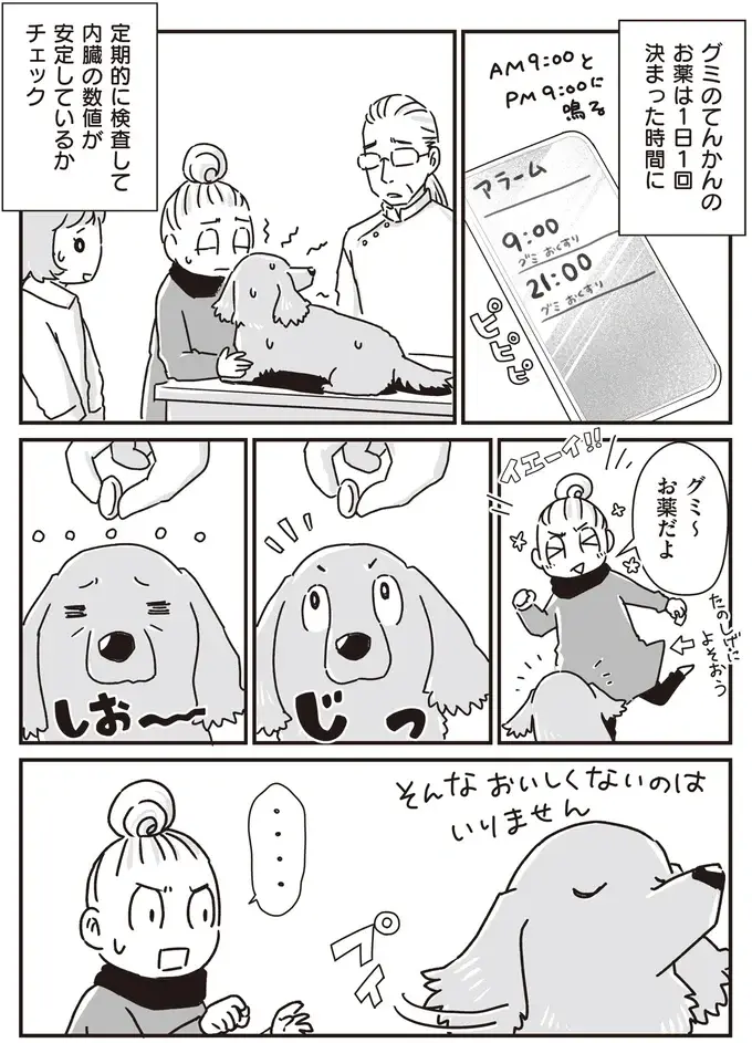 ミニチュアダックスVS飼い主。生涯続いた投薬バトル／愛犬グミと銀次郎と過ごした日々（2）