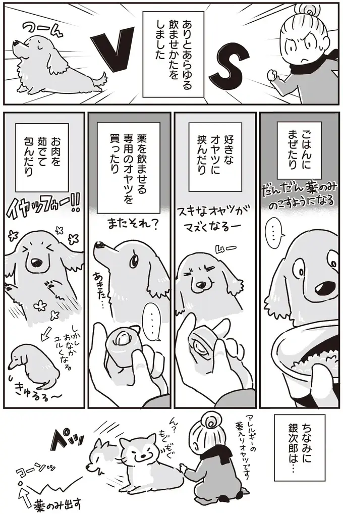 ミニチュアダックスVS飼い主。生涯続いた投薬バトル／愛犬グミと銀次郎と過ごした日々（3）