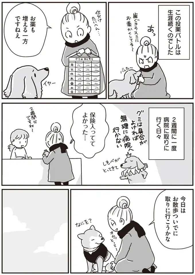 ミニチュアダックスVS飼い主。生涯続いた投薬バトル／愛犬グミと銀次郎と過ごした日々（4）