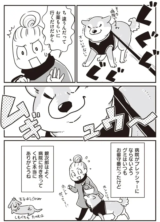 ミニチュアダックスVS飼い主。生涯続いた投薬バトル／愛犬グミと銀次郎と過ごした日々（5）
