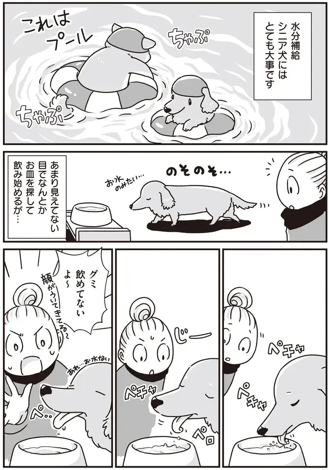 シニア犬の目が見えにくくなり、水が飲めなくなってきた...。水分補給どうする？／愛犬グミと銀次郎と過ごした日々（2）