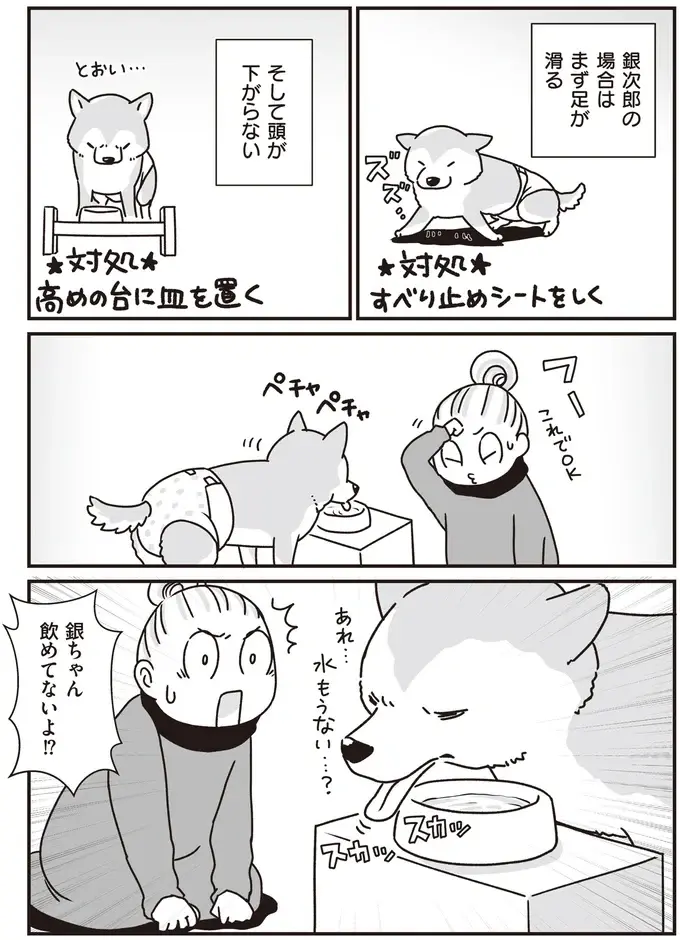 シニア犬の目が見えにくくなり、水が飲めなくなってきた...。水分補給どうする？／愛犬グミと銀次郎と過ごした日々（4）