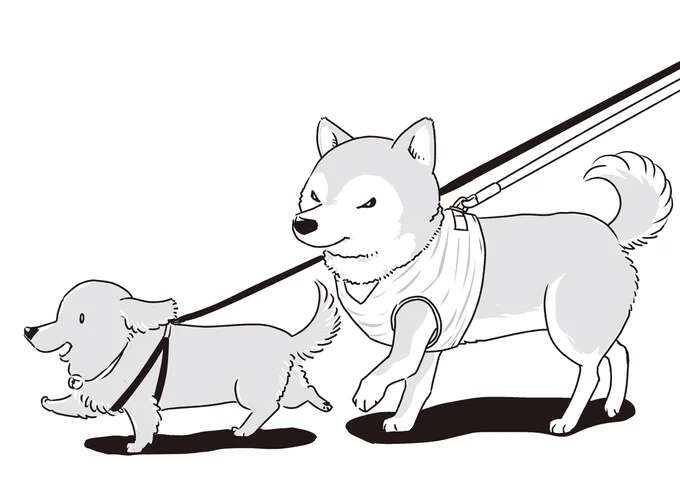 愛犬たちが若い頃はよくこうして並んで散歩した...シニアになったミニチュアダックスと柴犬／愛犬グミと銀次郎と過ごした日々（1）