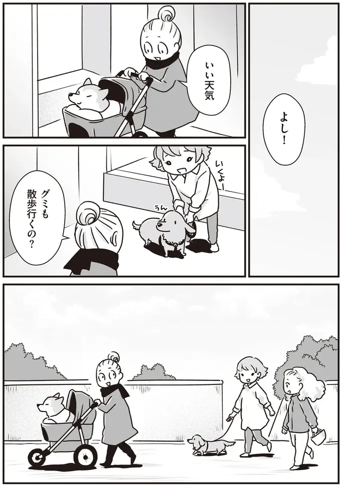 愛犬たちが若い頃はよくこうして並んで散歩した...シニアになったミニチュアダックスと柴犬／愛犬グミと銀次郎と過ごした日々（2）