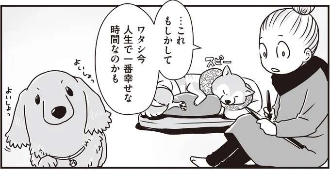 シニア犬2匹がいるリビングで仕事。人生で一番幸せな時間かも／愛犬グミと銀次郎と過ごした日々（1）