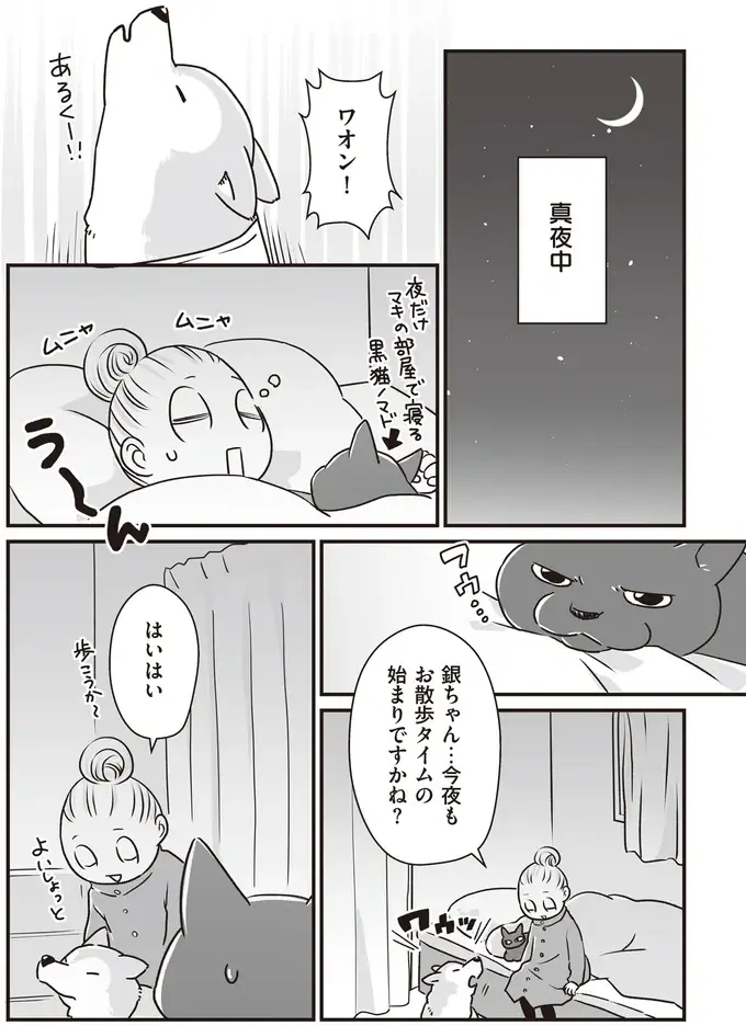 シニア柴犬との深夜の散歩。同じ場所をぐるぐる歩き、まるで世界で2人きりのよう...／愛犬グミと銀次郎と過ごした日々（2）