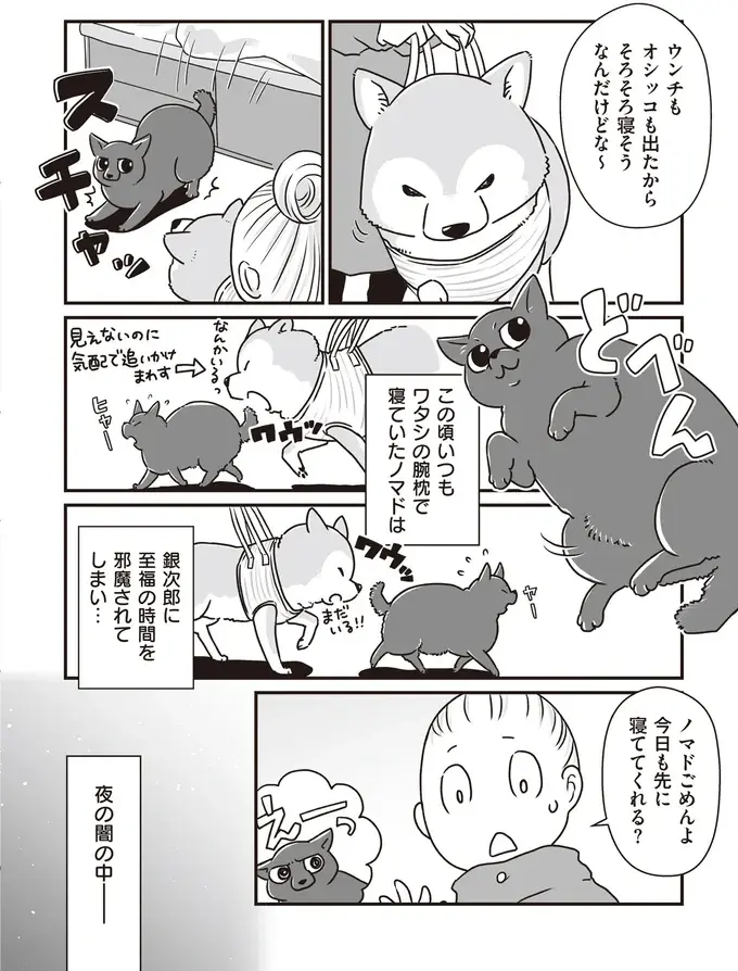 シニア柴犬との深夜の散歩。同じ場所をぐるぐる歩き、まるで世界で2人きりのよう...／愛犬グミと銀次郎と過ごした日々（4）