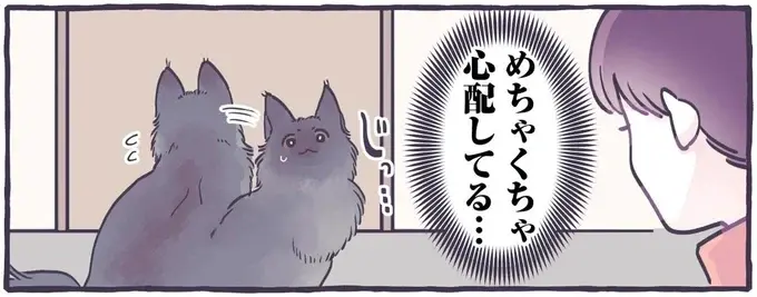 猫が「めちゃくちゃ心配してる」理由は？ 幼い息子がトイレで...／るしこの子育て日記4（1）