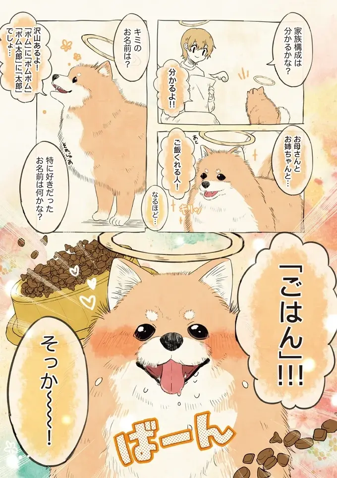 可愛がられ旅立ったポメラニアン。天使が聞いた「一番好きな名前」に笑いと涙／自分の名前を勘違いしている子（2）