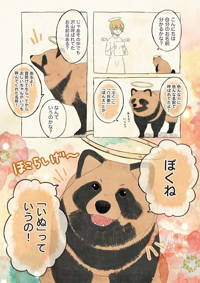 たぬきたちの可愛い勘違い。3頭が呼ばれていた「同じ名前」とは？／自分の名前を勘違いしている子（2）