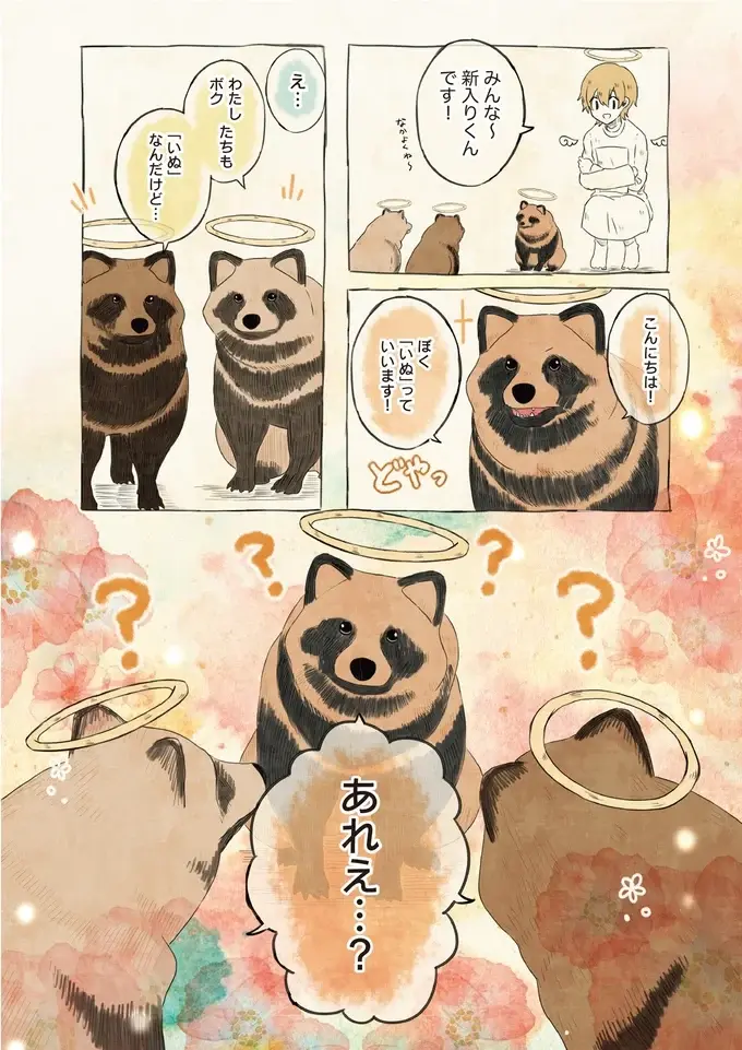 たぬきたちの可愛い勘違い。3頭が呼ばれていた「同じ名前」とは？／自分の名前を勘違いしている子（3）