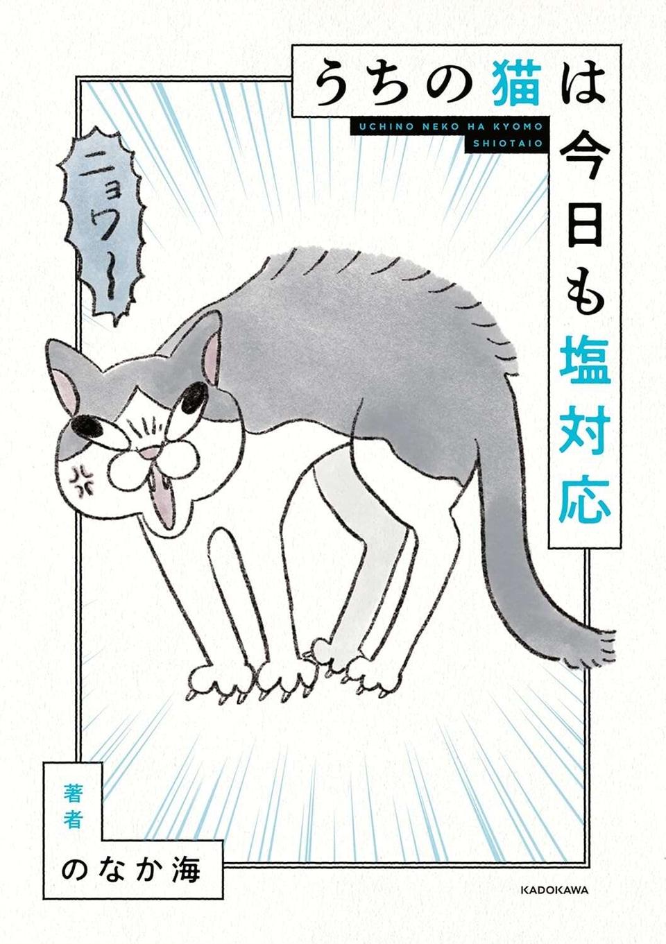 だ、誰？ 愛猫の顔が夜と顔が違いすぎ！ 時間が経つにつれガラが悪い顔になり...／うちの猫は今日も塩対応（7）
