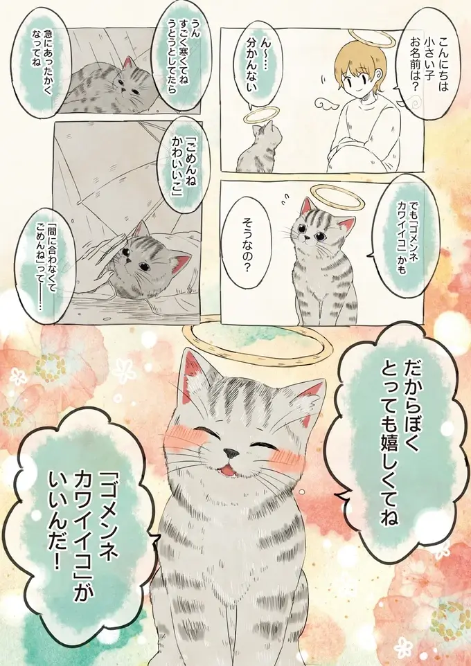 雨の中、独りだった子猫。優しい女性が最期に送った名前を天国で名乗りたい！／自分の名前を勘違いしている子（2）