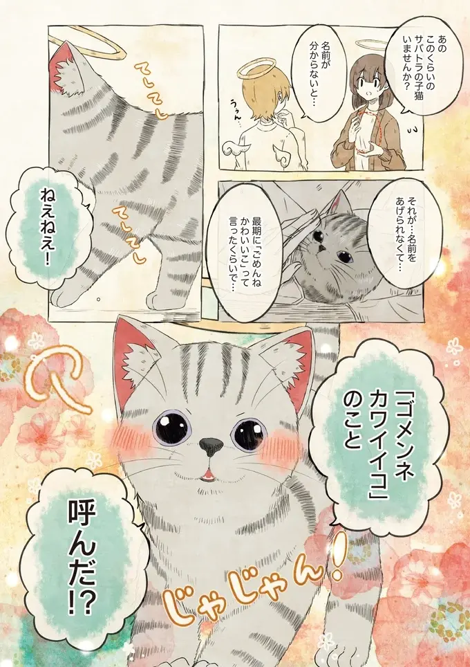 雨の中、独りだった子猫。優しい女性が最期に送った名前を天国で名乗りたい！／自分の名前を勘違いしている子（3）