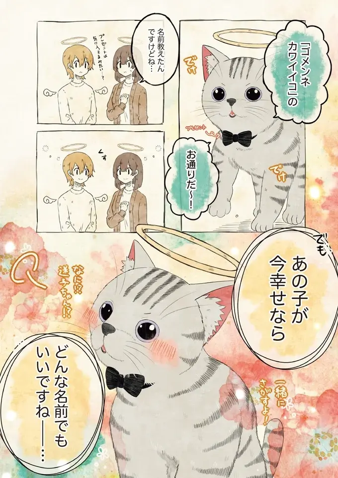 雨の中、独りだった子猫。優しい女性が最期に送った名前を天国で名乗りたい！／自分の名前を勘違いしている子（4）