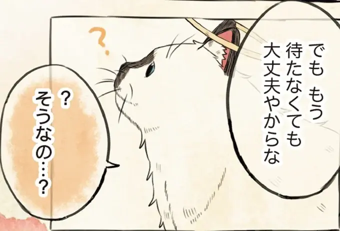 飼い主を「ええ子」で待っていた猫。再会して贈られた新しい名前がうれしくて／自分の名前を勘違いしている子（1）