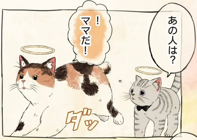 生き別れたママと天国で再会。「ごめんね」より言ってほしい言葉は／自分の名前を勘違いしている子（1）