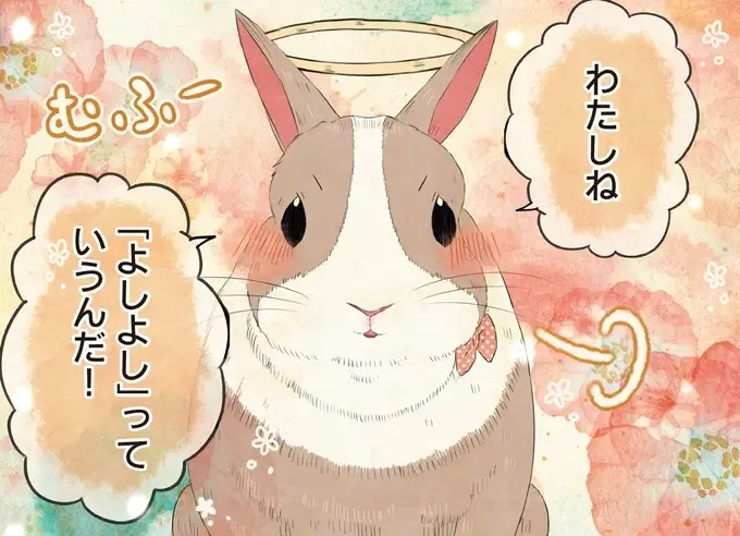 うさぎたちのかわいい自慢！ 抱っこやよしよしされながら呼んでもらった名前とは／自分の名前を勘違いしている子（1）