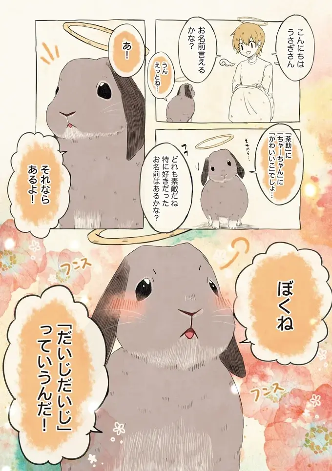 うさぎたちのかわいい自慢！ 抱っこやよしよしされながら呼んでもらった名前とは／自分の名前を勘違いしている子（2）