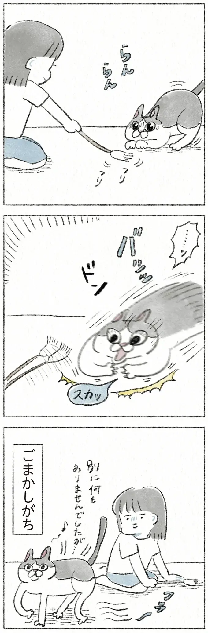 猫は失敗すると「別に...」みたいな態度でごまかしがち。さらに...！／うちの猫は今日も塩対応（4）