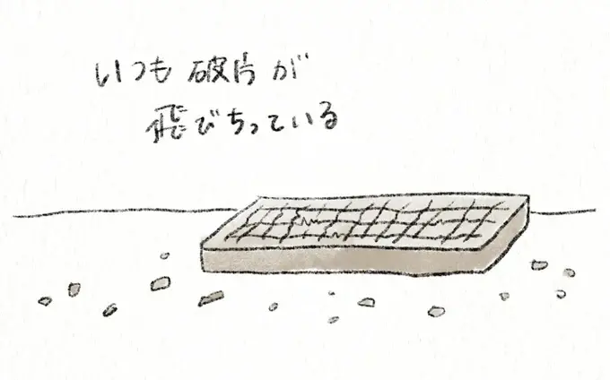 猫は失敗すると「別に...」みたいな態度でごまかしがち。さらに...！／うちの猫は今日も塩対応（6）