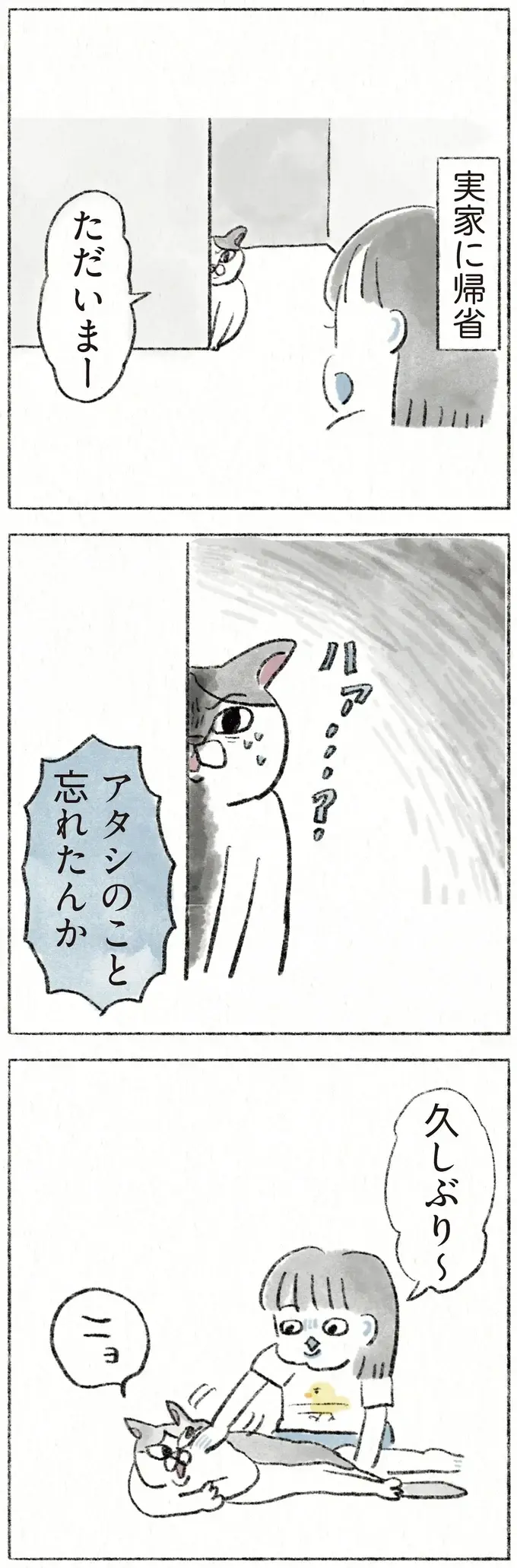 「アタシのこと忘れたんか」愛猫が、実家に帰省した娘を思い出すまでの試練／うちの猫は今日も塩対応（2）
