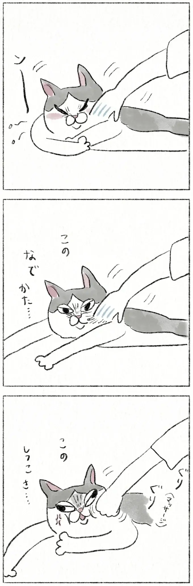 「アタシのこと忘れたんか」愛猫が、実家に帰省した娘を思い出すまでの試練／うちの猫は今日も塩対応（3）