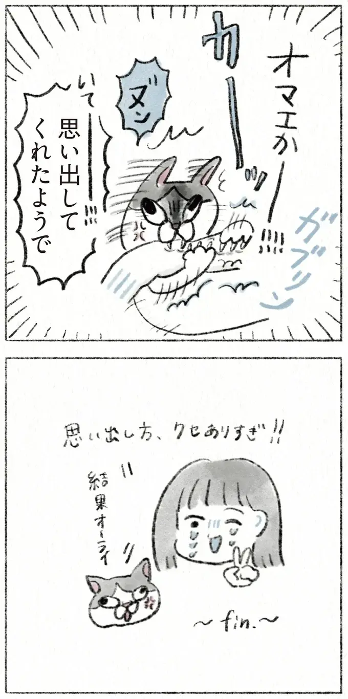 「アタシのこと忘れたんか」愛猫が、実家に帰省した娘を思い出すまでの試練／うちの猫は今日も塩対応（4）